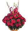 25 Roses with 5 Rojonighanda sticks